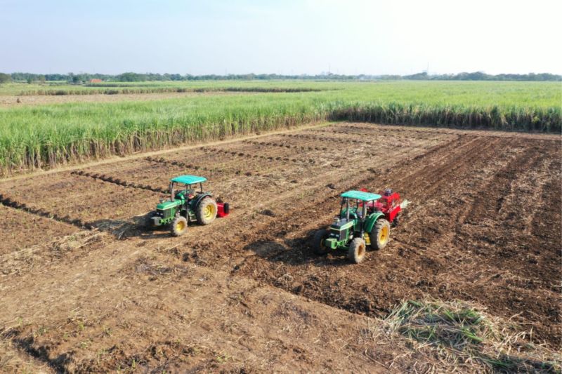 Harga Gula di Tingkat Produsen Rendah, BUMN ID FOOD Percepat Pembelian