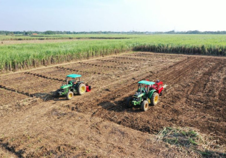 ID FOOD Gelontorkan Rp 1,75 Triliun Buat Serap dan Stabilkan Harga Gula Petani