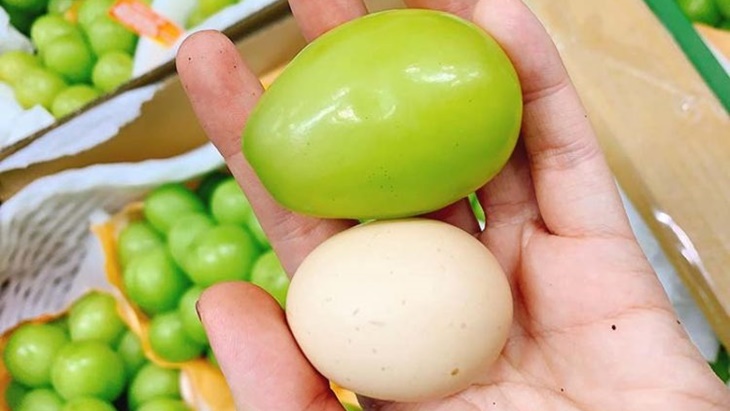 Langka, Anggur Lebih Besar daripada Telur Ayam 