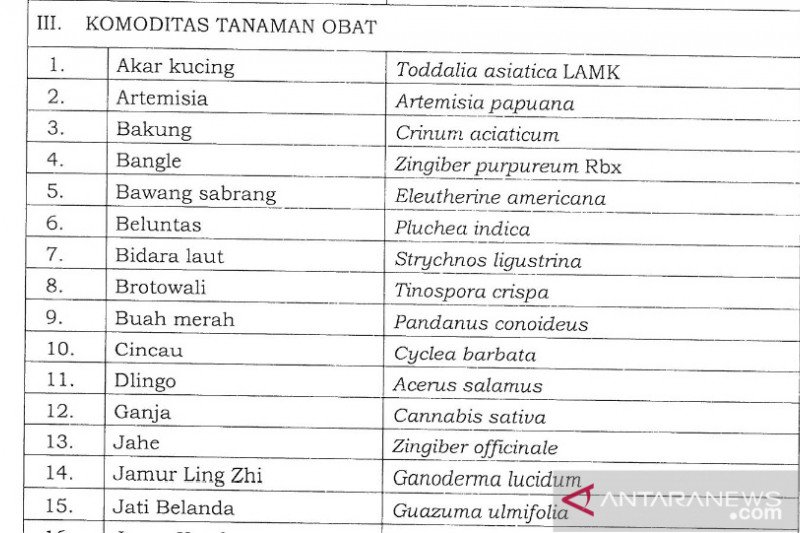 Aturan Ganja