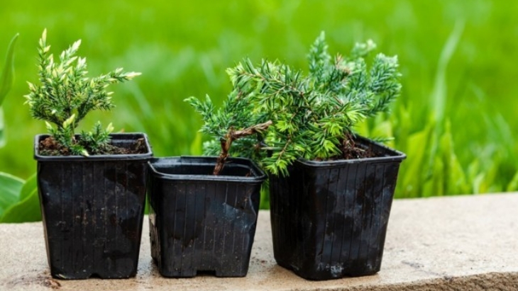 Cara Memilih Pot Terbaik untuk Tanaman Luar Ruangan
