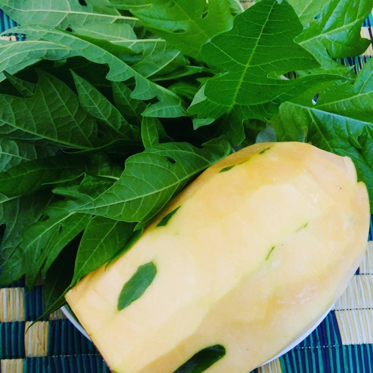 Daun dan buay pepaya muda. (Foto: https://www.instagram.com/mobilespa.confinement_mariel)