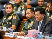 TNI Bentuk Satuan Siber Bukan Matra Siber, Tengah Cari Peretas