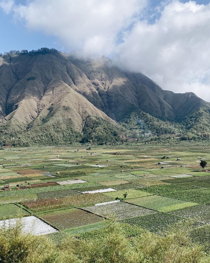 Sembalun hingga Tiga Gili, Rekomendasi Wisata di Lombok dan Bali