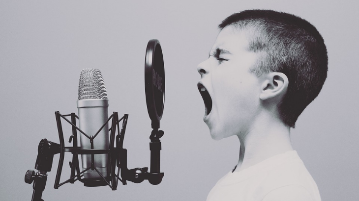 Meningkatkan Kemampuan Verbal. (Pixabay/Free-Photos)