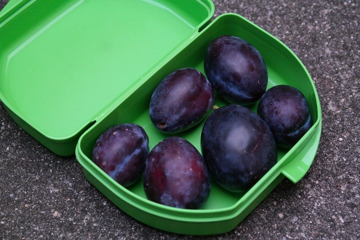 Kotak makan dengan isi buah-buahan. (Foto: Pixabay/Hans)