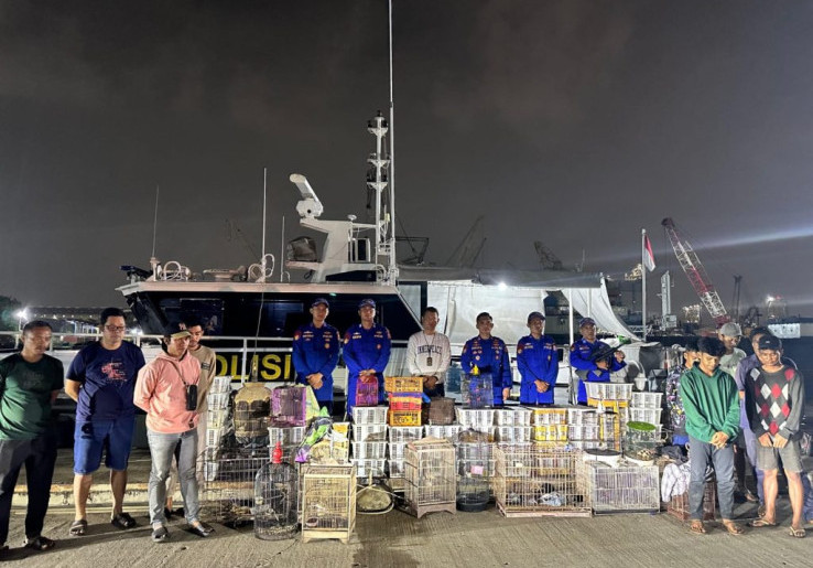 Polisi Gagalkan Penyelundupan Satwa Dilindungi di Perairan Jakarta