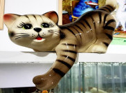 Mulia, Museum di Polandia Ini Didedikasikan untuk Kucing