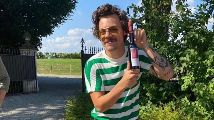 Kumis Mario ala Harry Styles