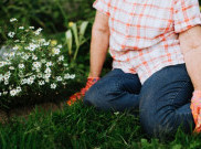 Tips Berkebun Bagi Pemula