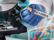Vaksin COVID-19 Buatan Indonesia Diproduksi Massal 2021