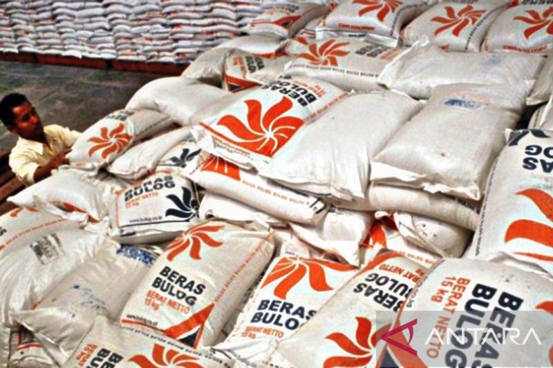 Sejumlah Faktor Pemicu Kenaikan Harga Beras Versi Peneliti BRIN