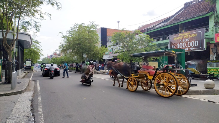 Program ini akan bekerja sama dengan Perkedwi. (Foto; MP/Patricia Vicka)