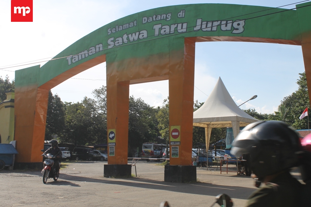 Menyambut Akhir Tahun,  TSTJ Kebanjiran Pengunjung