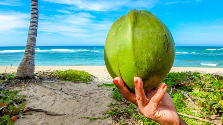 Mengungkap Mitos Makan Kelapa Bikin Kremian
