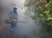 Aksi Pengasapan Berantas Nyamuk Demam Berdarah Aedes Aegypti di Jakarta