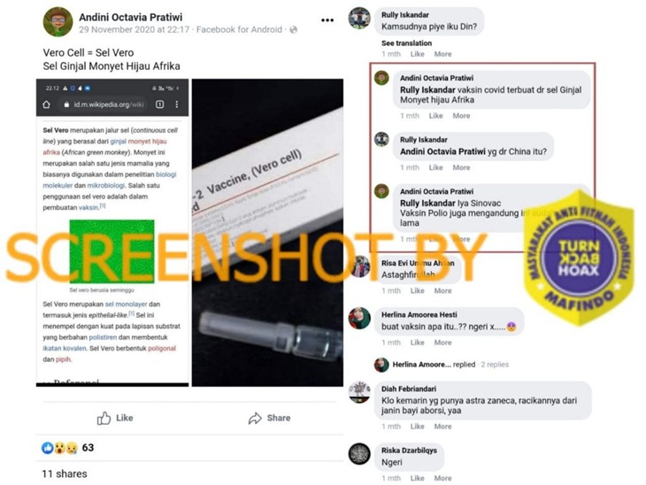 Tangkapan layar Facebook soal hoaks vaksin COVID-19 Sinovac mengandung sel monyet hijau Afrika. (Foto: MP/Turnbackhoax.id)