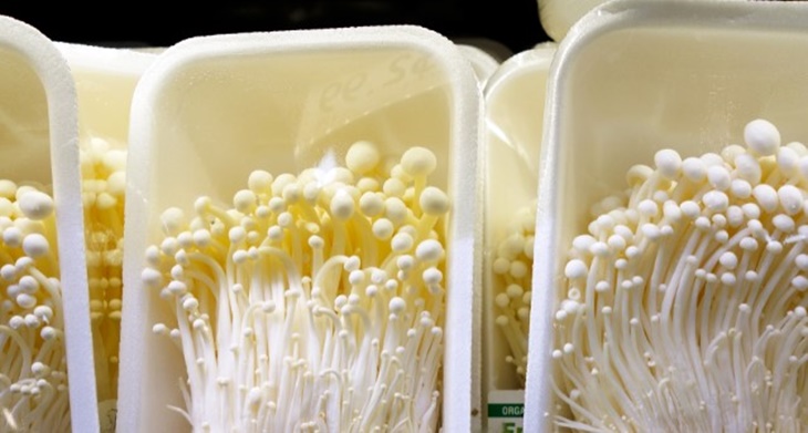 Mengenal Infeksi Listeria akibat Jamur Enoki