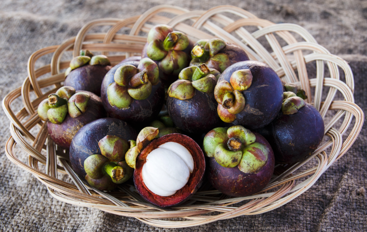 Kabar Gembira untuk Kita Semua, Buah Manggis Ternyata Punya Banyak Manfaat Kesehatan