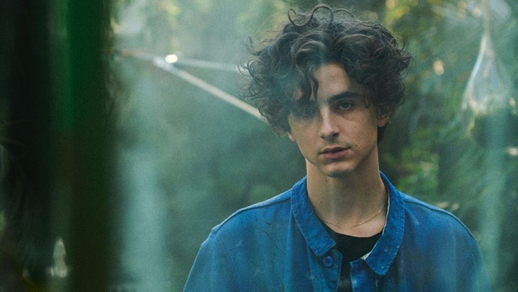 Dibintangi Timothée Chalamet, Film Biopik Bob Dylan Mulai Syuting Musim Panas 2023