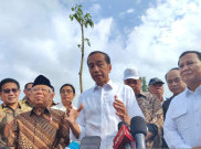 Jokowi Bocorkan Agenda Sidang Kabinet Pertama di IKN