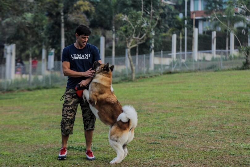 Mengulas Salah Satu Anjing Termahal di Von Haus JHL, Harganya Miliaran Rupiah!