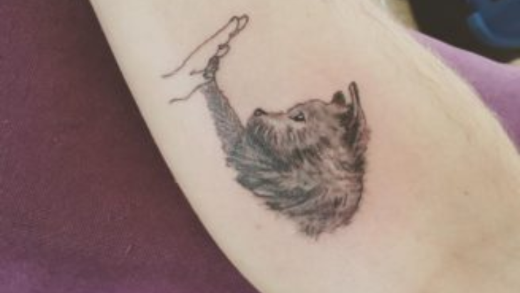 tato anjing