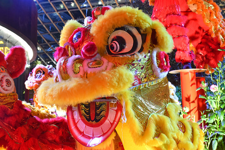 barongsai