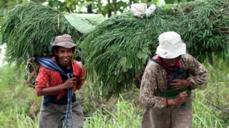 Meluruskan Makna Samin Lewat Festival Budaya