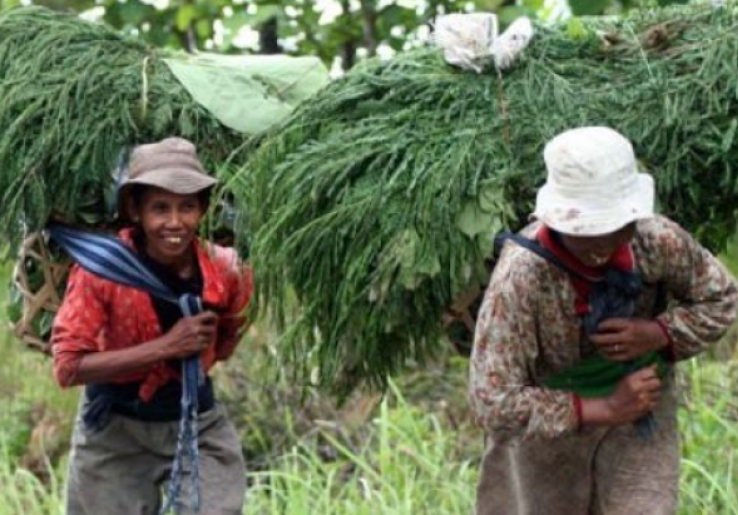 Meluruskan Makna Samin Lewat Festival Budaya