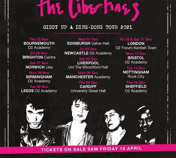 the libertines