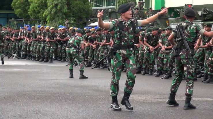 TNI Genap Berusia 81 Tahun, Imparsial Ingatkan Hal Penting soal Profesionalisme
