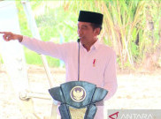 PDIP Disebut Keliru Posisikan Jokowi sebagai Petugas Partai