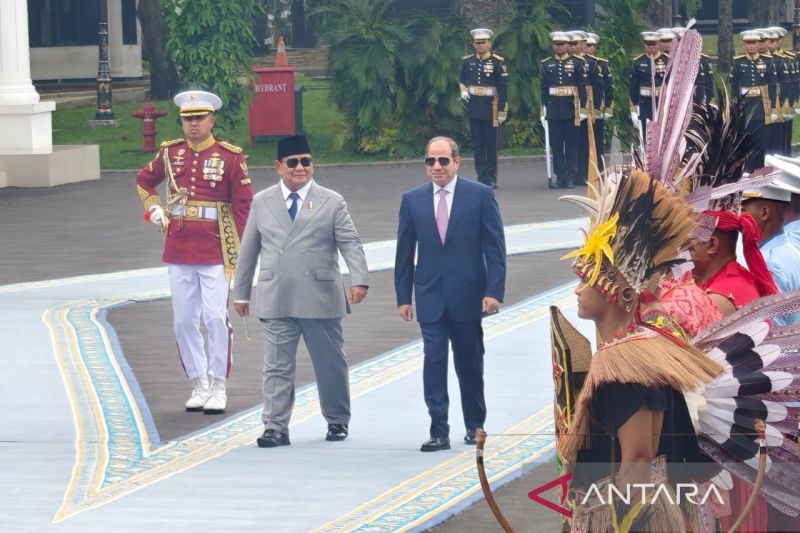 Bahasan Pertemuan Presiden Prabowo dengan Presiden Mesir Abdel Fattah Al-Sisi