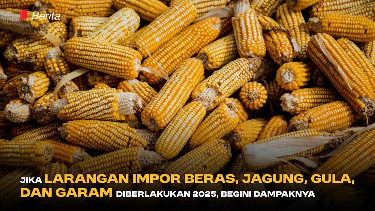 Jika Larangan Impor Beras, Jagung, Gula, dan Garam Diberlakukan 2025, Begini Dampaknya