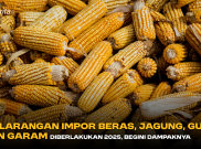 Jika Larangan Impor Beras, Jagung, Gula, dan Garam Diberlakukan 2025, Begini Dampaknya