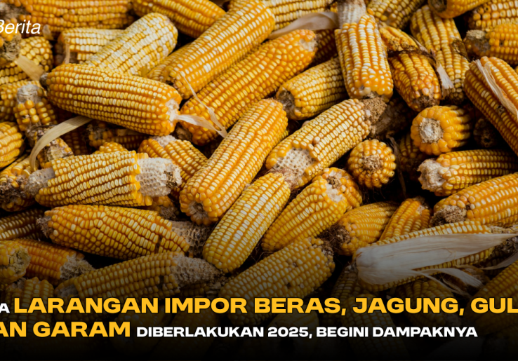Jika Larangan Impor Beras, Jagung, Gula, dan Garam Diberlakukan 2025, Begini Dampaknya