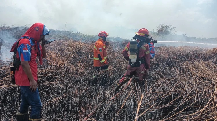 Mitigasi Pemerintah Sebelum Kebakaran Lemah Dinilai Lemah