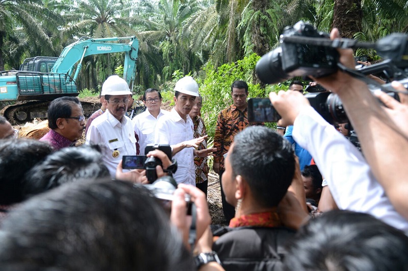 Serangan Pada Sawit Indonesia Dinilai Tidak Berdasar