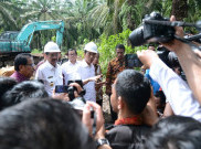 Serangan Pada Sawit Indonesia Dinilai Tidak Berdasar