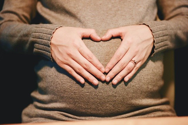 Tak pernah ada laporan ibu hamil meninggal karena corona (Foto: Pixabay/StockSnap)
