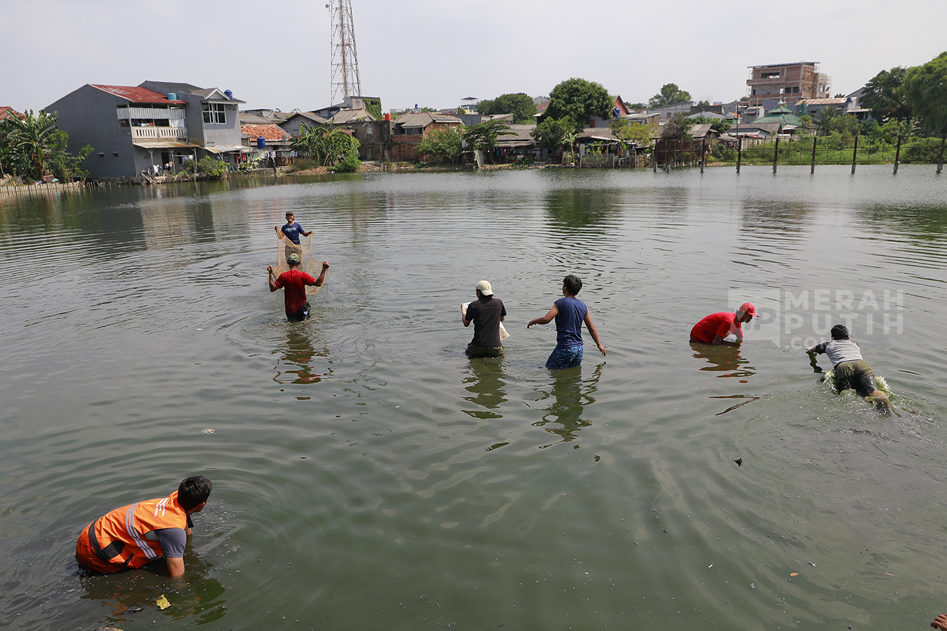 Pemprov DKI Gandeng Bogor Basmi Ikan Sapu-sapu di Kali Ciliwung, Fokus dari Hulu