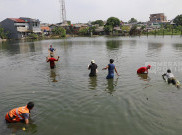 Pemprov DKI Gandeng Bogor Basmi Ikan Sapu-sapu di Kali Ciliwung, Fokus dari Hulu