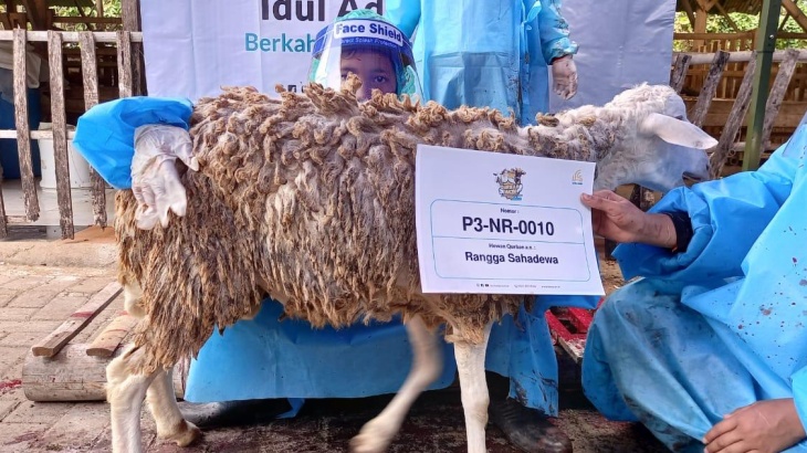 Laznas BSMU Salurkan Lebih dari 100 Ribu Kantong Daging Kurban pada Idul Adha 1442 H