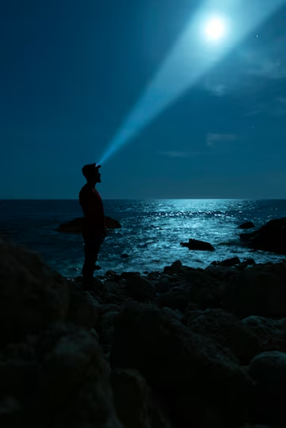 Cara Dapatkan Foto Malam Aesthetic. Foto Freepik