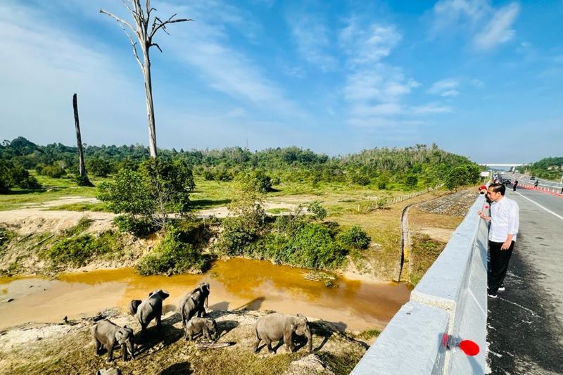 Jokowi Tegaskan Pembangunan Infrasktruktur Harus Ramah Lingkungan