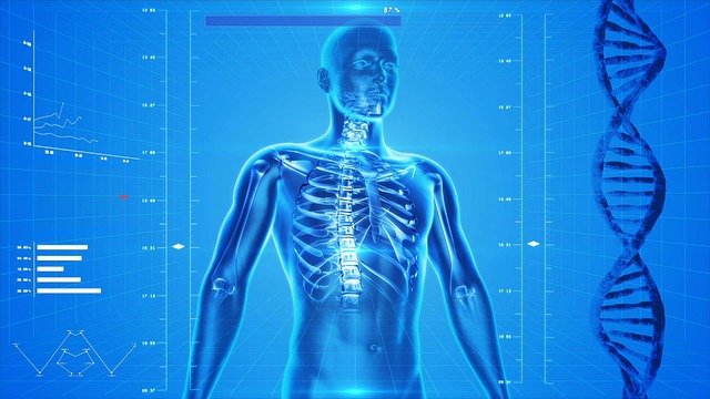 Tubuh Terasa Berat dan Mudah Letih? Berikut Penyebabnya Secara Medis