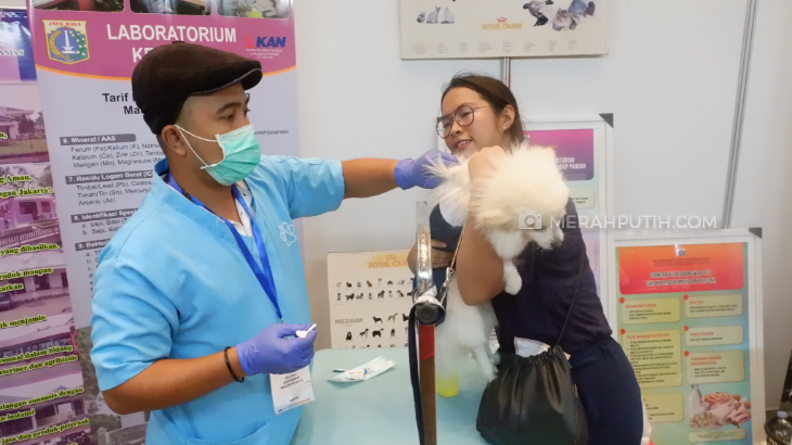Yuk, Vaksin Rabies Anjing Kamu di Jakarta Indonesia Pet Show 2019