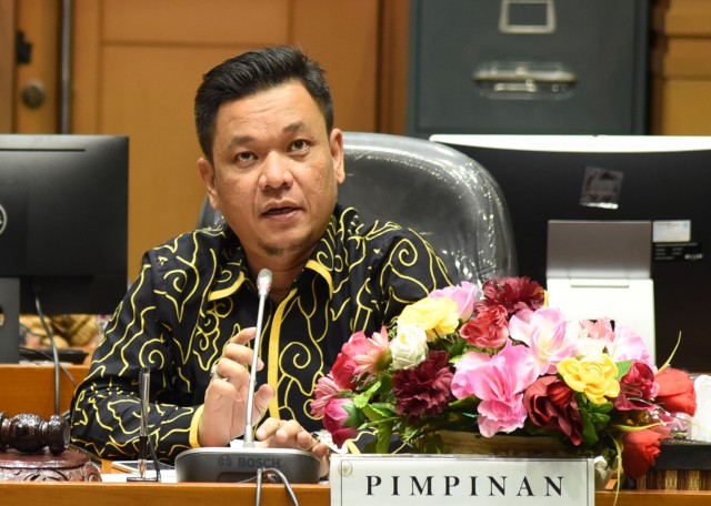Ace Hasan Syadzily