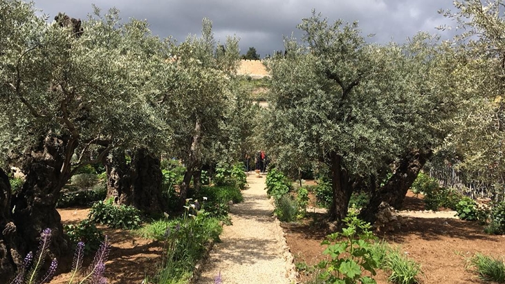 7 Tempat Paling Instagrammable di Palestina